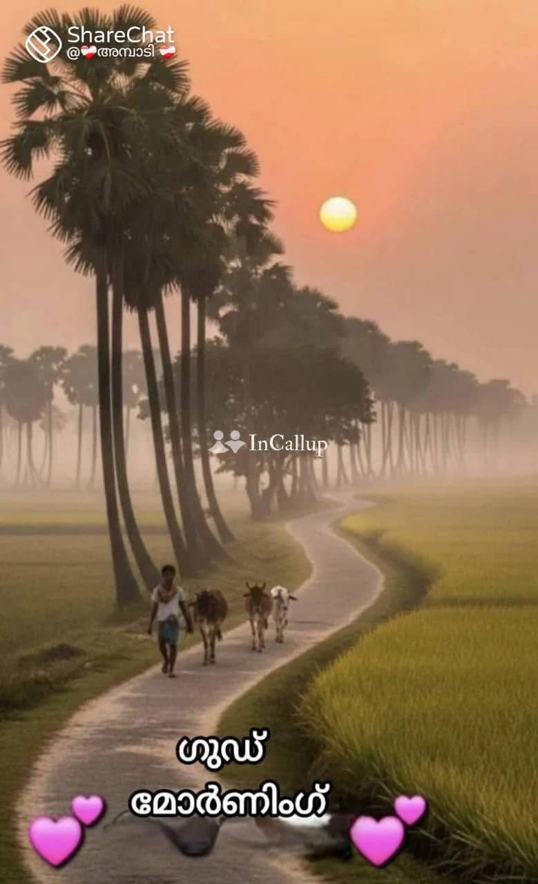 experience pure bliss with remya your alluring call girl in kochi for unforgettable moments and intimate connections - Call Girls in Kochi