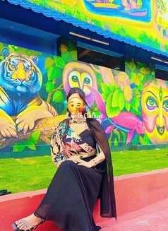 escort servicelow price high profile sbafe and secur je - Call Girls in Palakkad