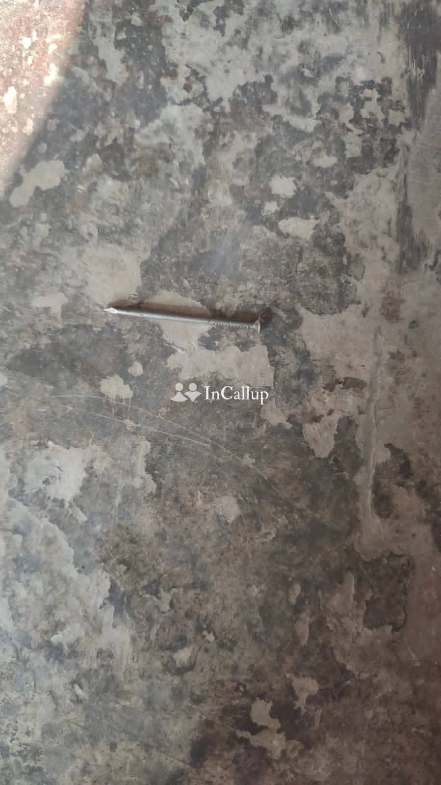 sensational 22yearold muskan in rajkot offering girlfriend experience and unique fetish services - Call Girls in Rajkot