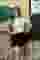 Low quality preview