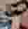 Low quality preview