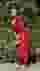 Low quality preview