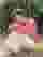 Low quality preview