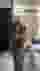 Low quality preview