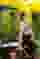 Low quality preview